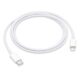 Cabo de USB-C para Lightning (1 m) - WANT IMPORT