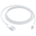 Cabo Apple de Lightning para USB (1 m)