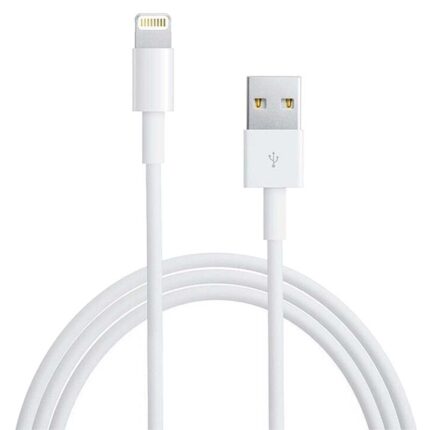 Cabo Apple de Lightning para USB (1 m)