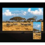 Reprodutor multimídia Xiaomi Mi TV Box S 4K – 3ª geração - Imagem 8